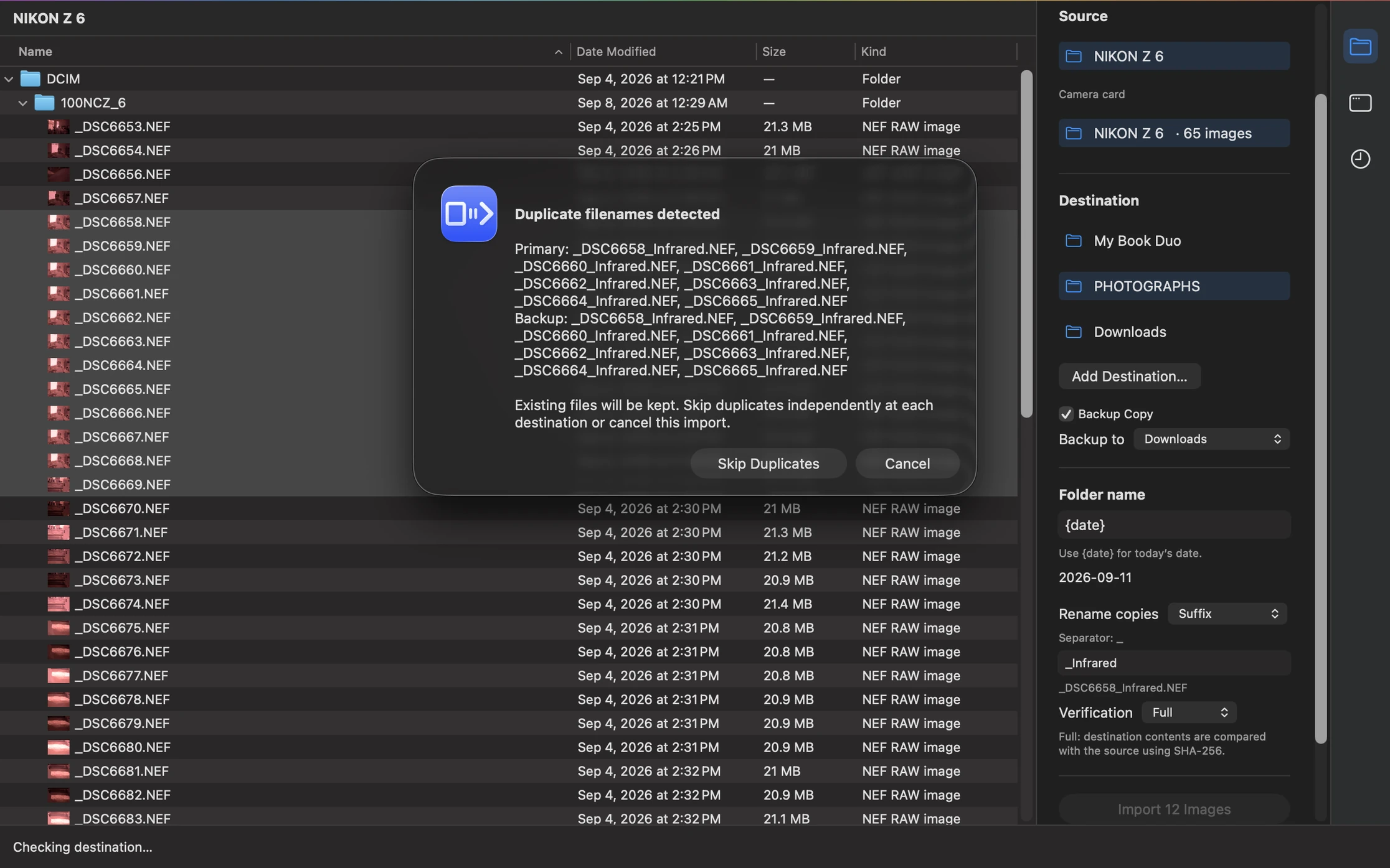 Importer application window showing a duplicate-filename prompt