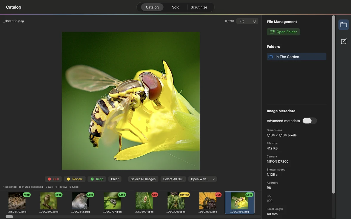Narrow application window showing the Catalog view