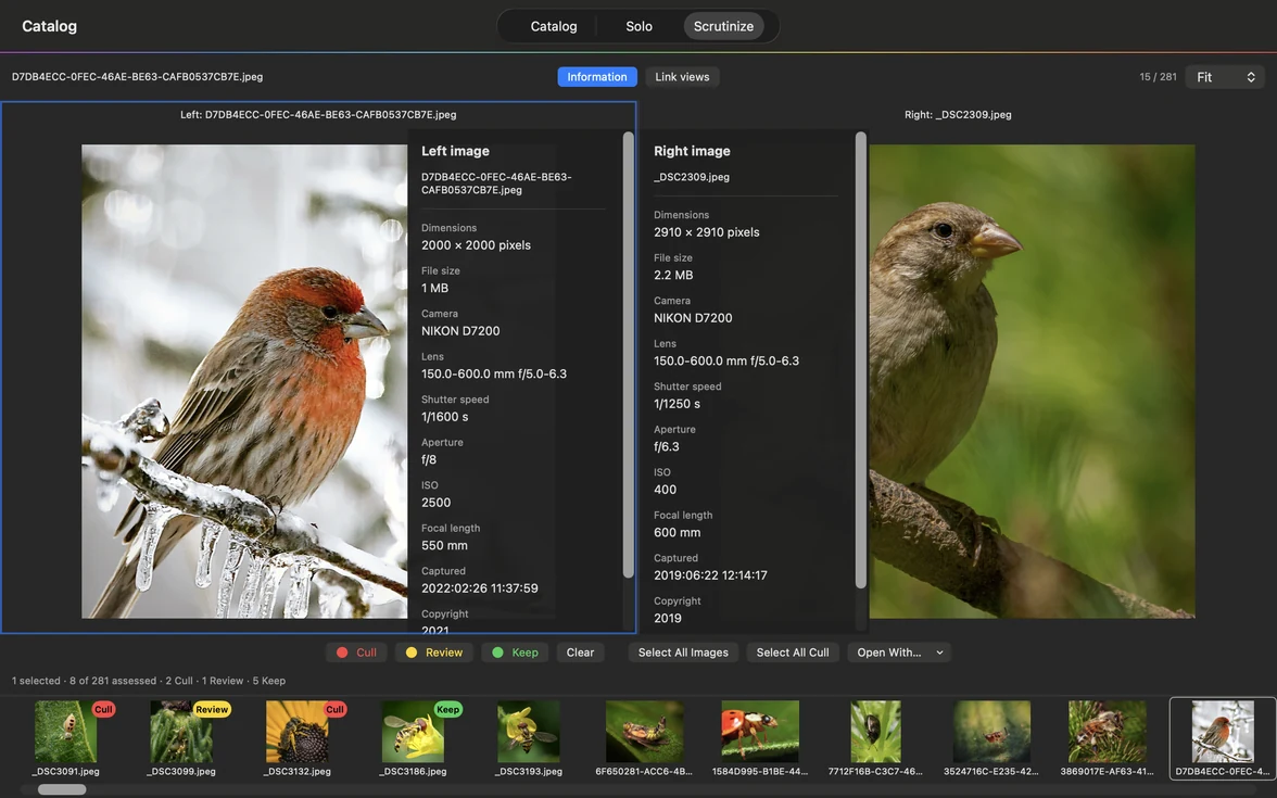 Narrow application window showing the Scrutinize view