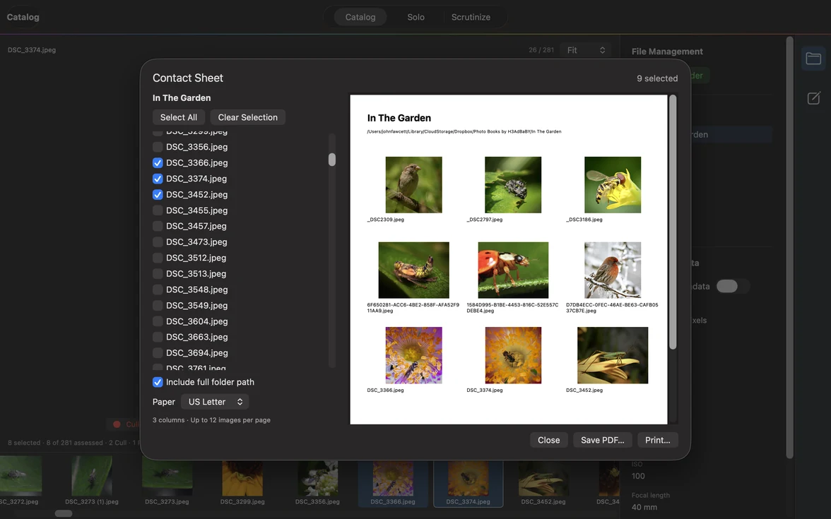 Narrow application window