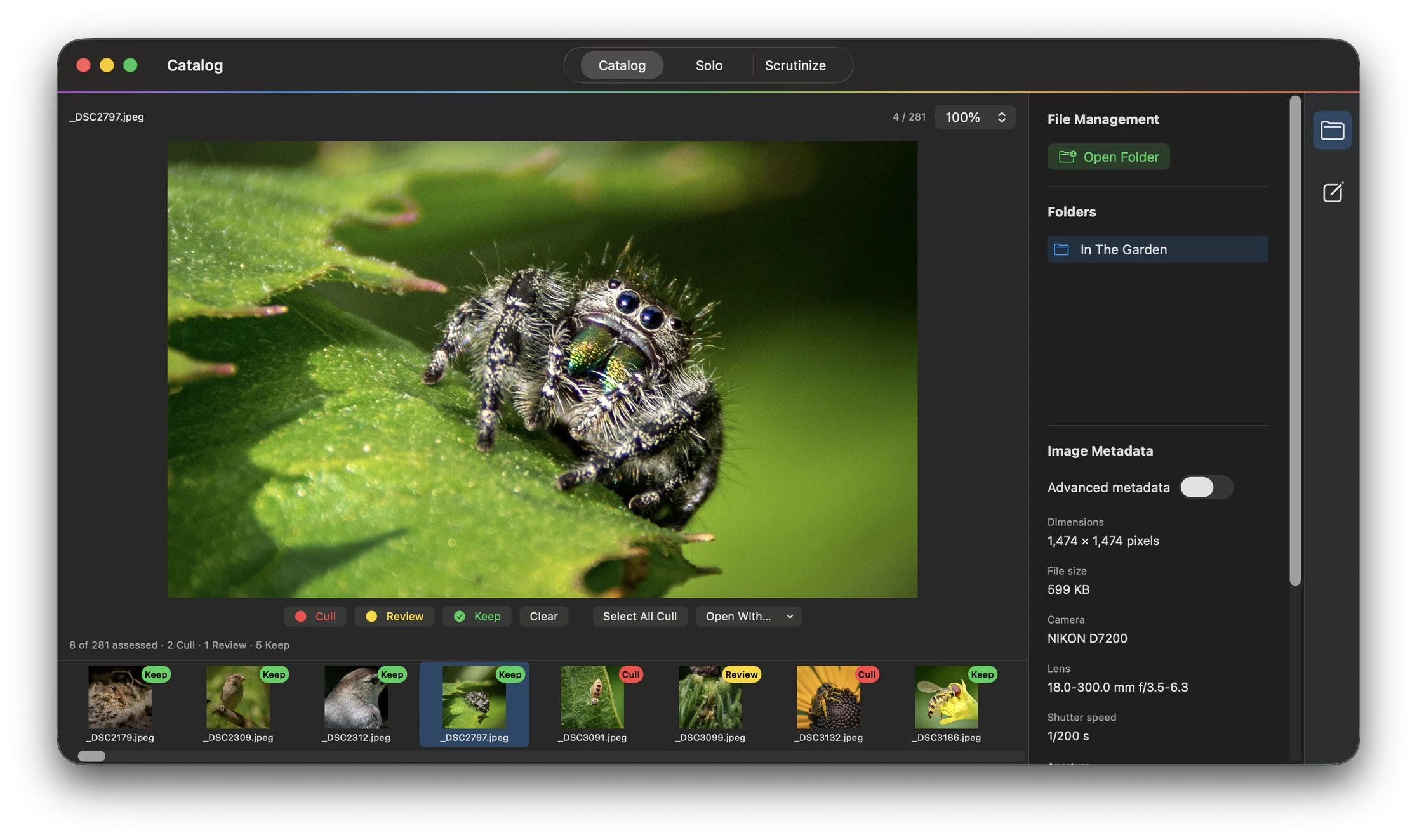 Narrow Catalog application window showing a photograph, file management controls, and image metadata
